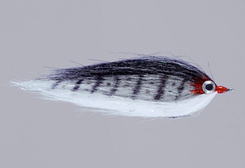 CF Baitfish Fly